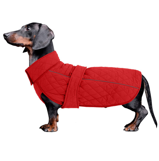 Manteau imperméable pour Teckel