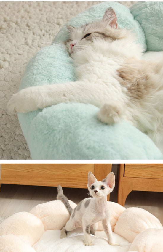Lit lavable pour chien et chat